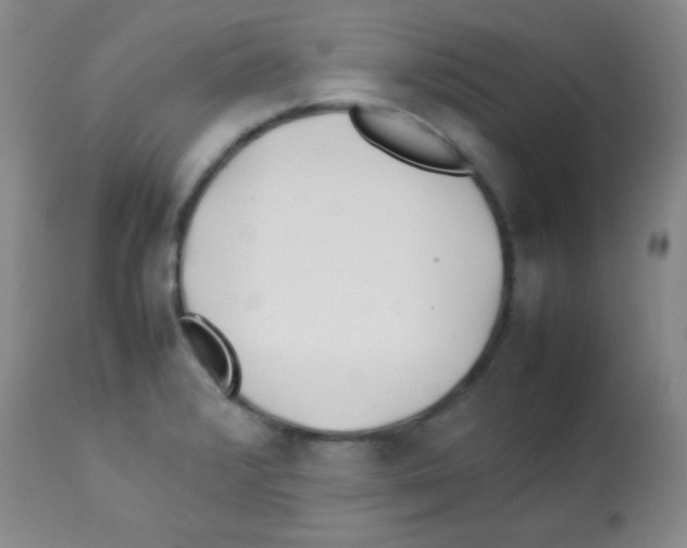 X0000113211376200910221053