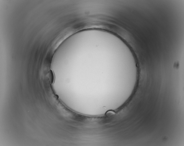 X0000113211377200910221053