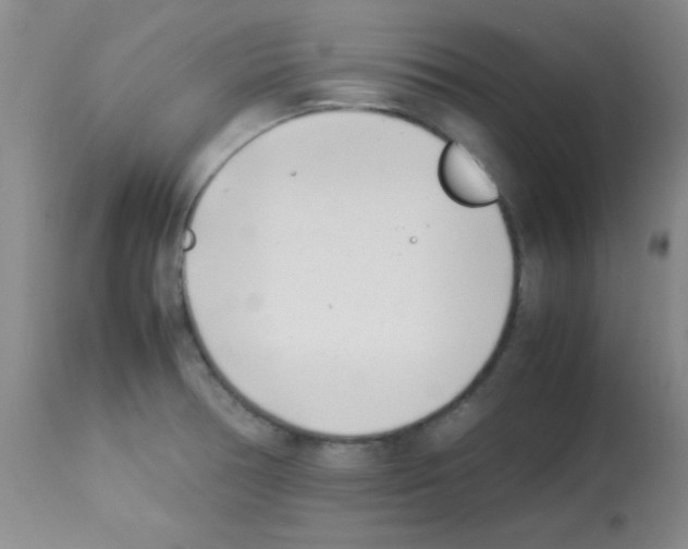 X0000113211378200910221053