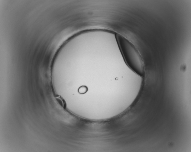 X0000113211380200910221053