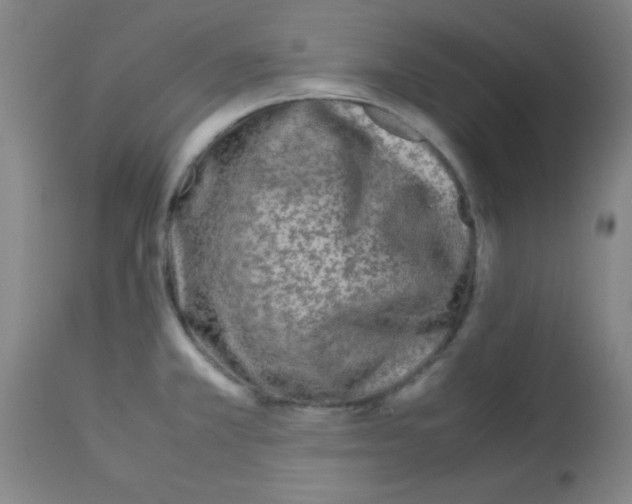 X0000113211381200910221053