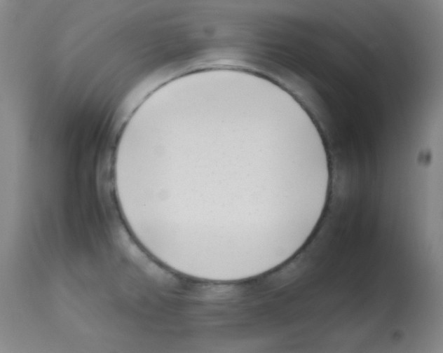 X0000113211382200910221053