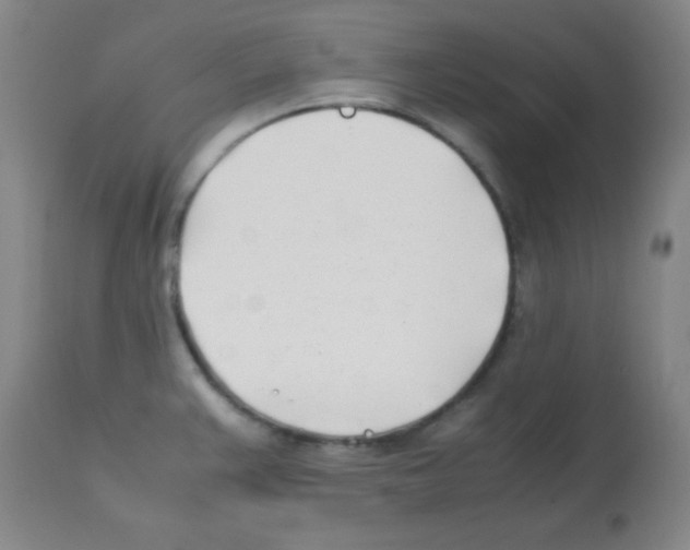 X0000113211383200910221053