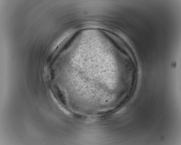 X0000113211385200910221053