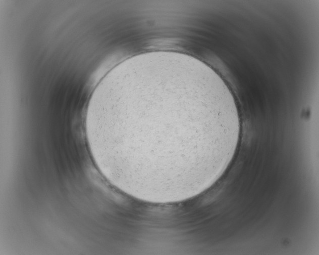 X0000113211386200910221053