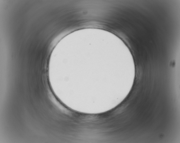 X0000113211387200910221053