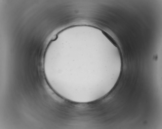 X0000113211388200910221053