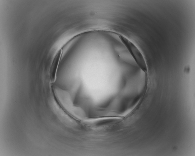 X0000113211389200910221052