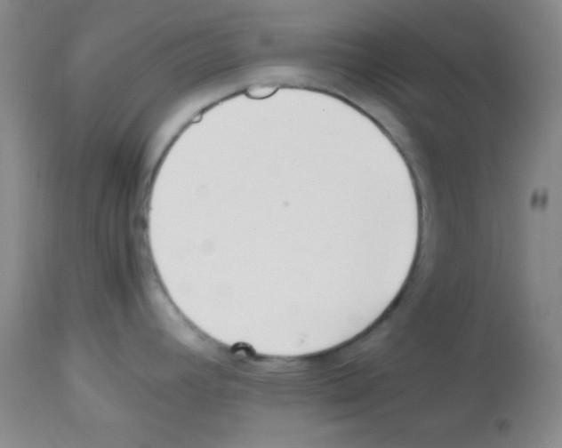 X0000113211392200910221052