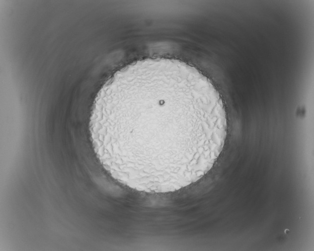 X0000113211393200910221052