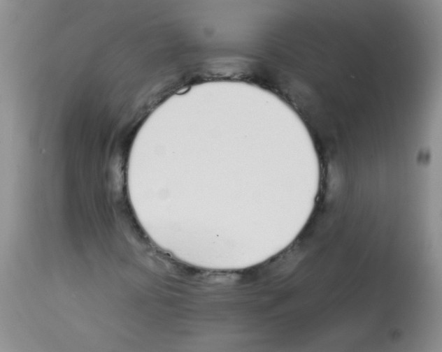 X0000113211394200910221052