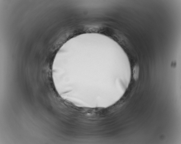 X0000113211395200910221052