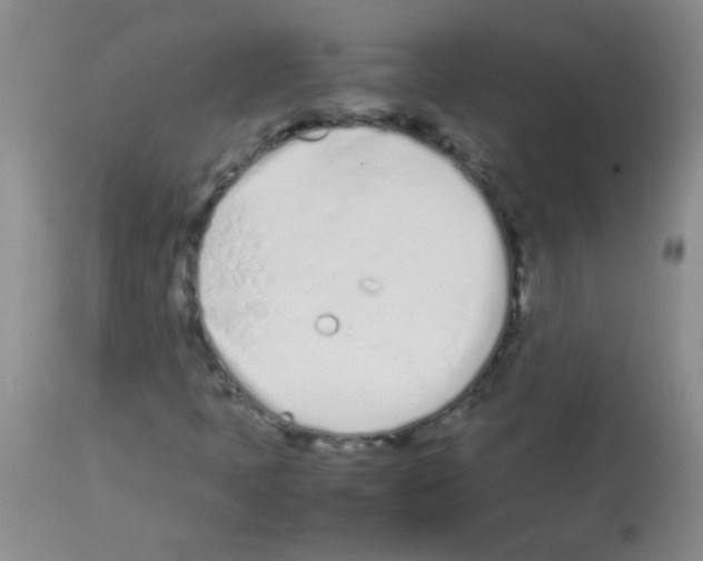 X0000113211397200910221052