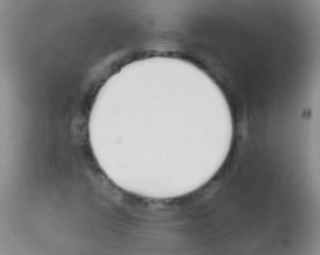 X0000113211398200910221052