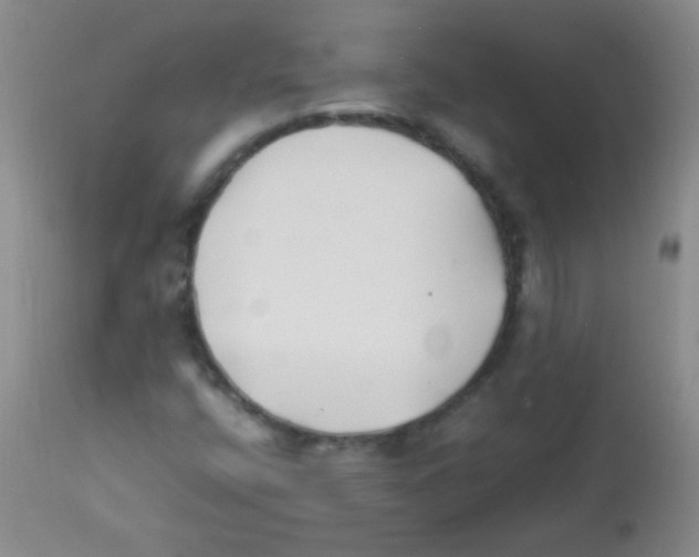 X0000113211400200910221052