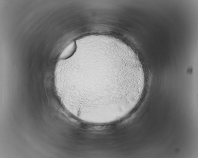 X0000113211401200910221052