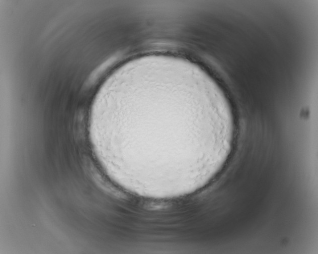 X0000113211403200910221052