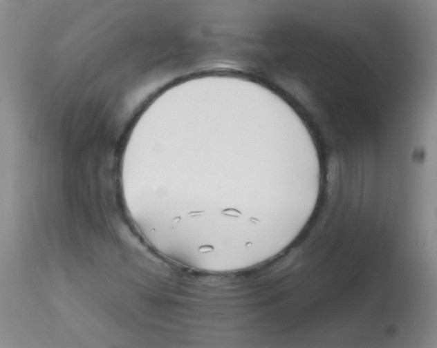 X0000113211404200910221052