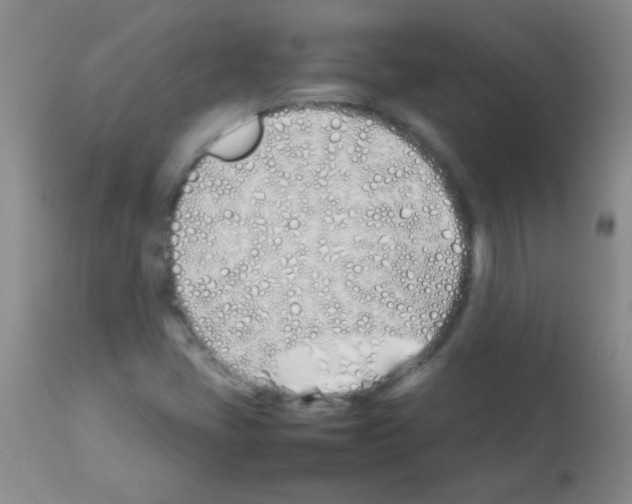 X0000113211405200910221052