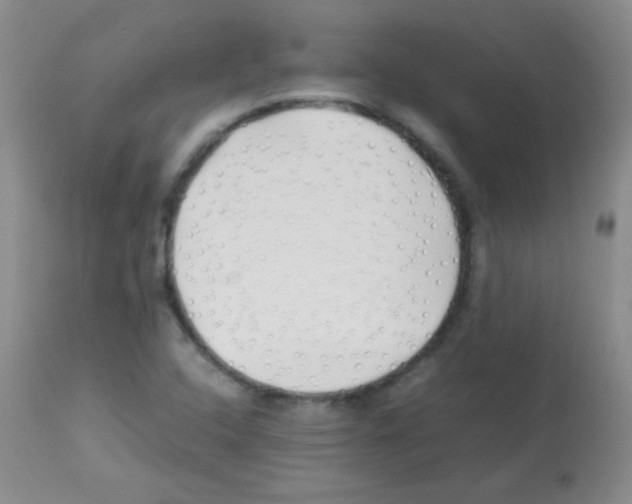 X0000113211408200910221052