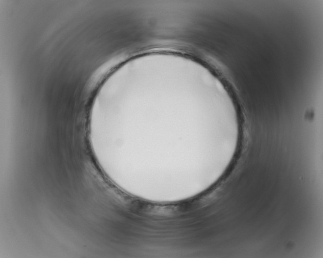 X0000113211411200910221052