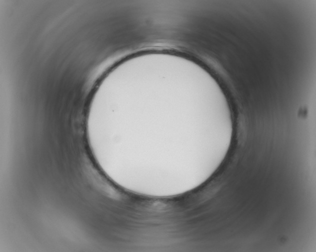 X0000113211412200910221052