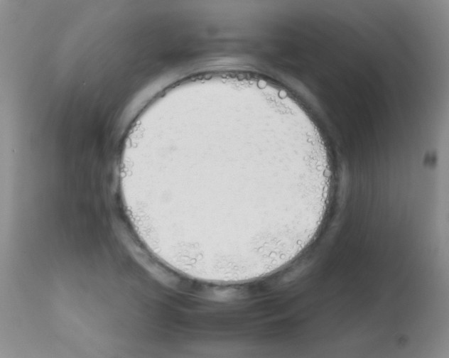 X0000113211413200910221052