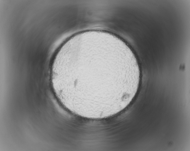 X0000113211414200910221052