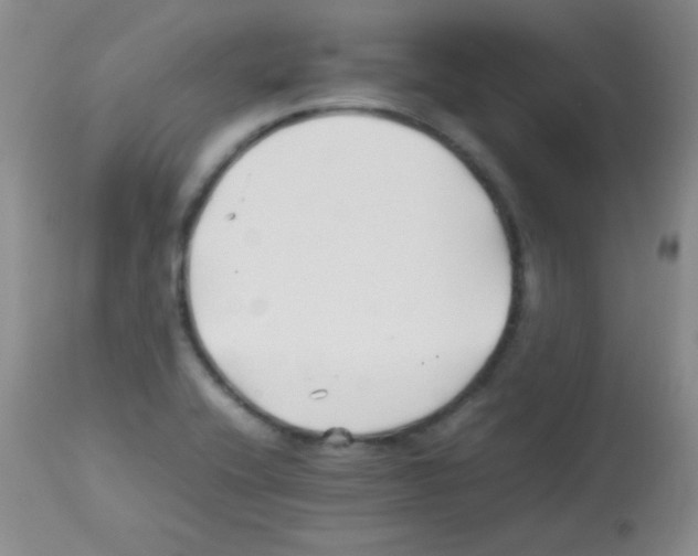 X0000113211416200910221052