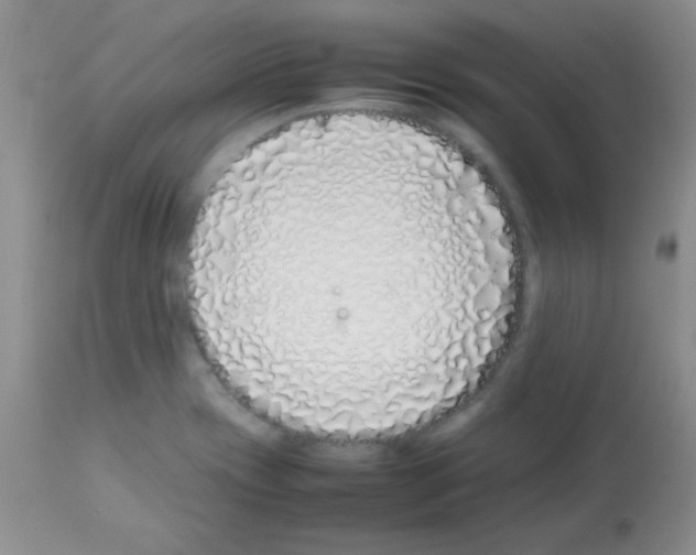 X0000113211417200910221052