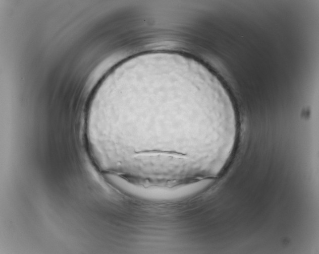 X0000113211418200910221052