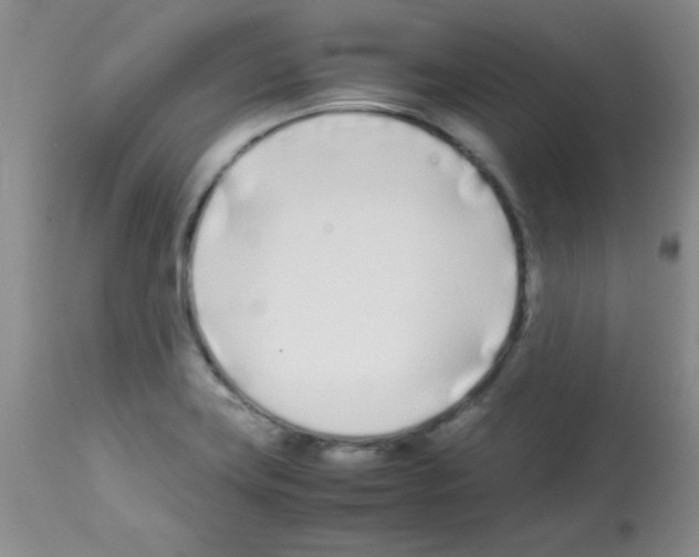 X0000113211419200910221052