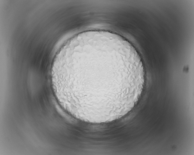 X0000113211421200910221052