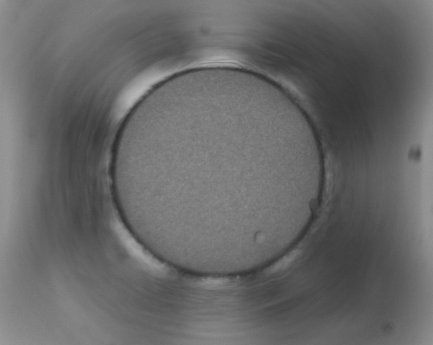 X0000113211422200910221052