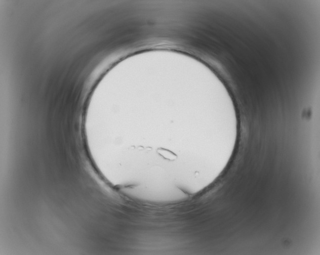 X0000113211424200910221052