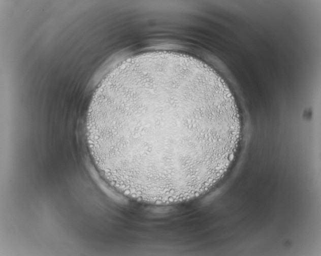 X0000113211425200910221052