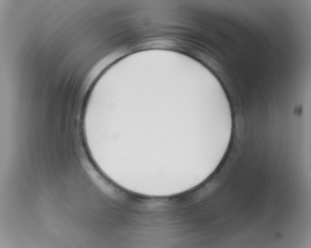 X0000113211426200910221052