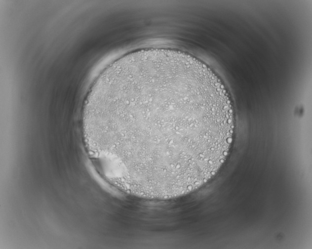 X0000113211429200910221052