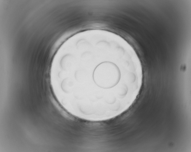 X0000113211432200910221052