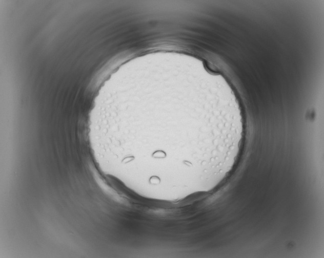 X0000113211433200910221052