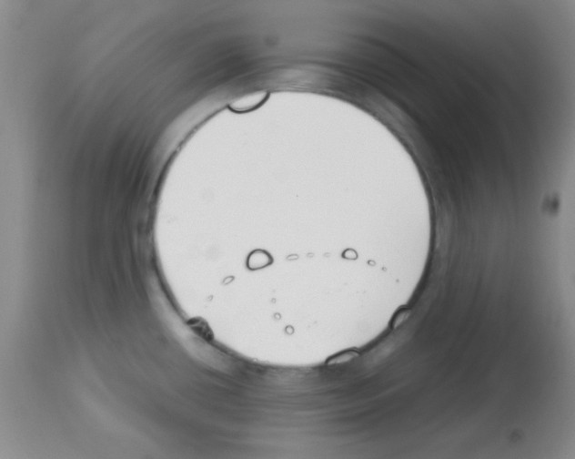 X0000113211434200910221052