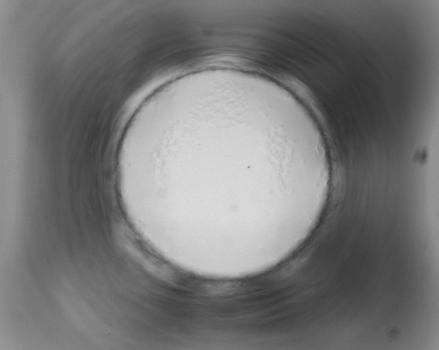 X0000113211435200910221052