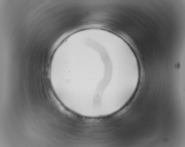 X0000113211436200910221052