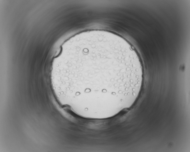 X0000113211437200910221052