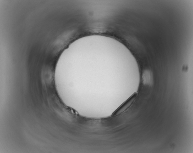 X0000113211444200910221052