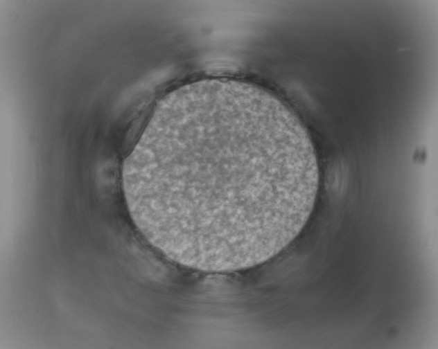 X0000113211445200910221052