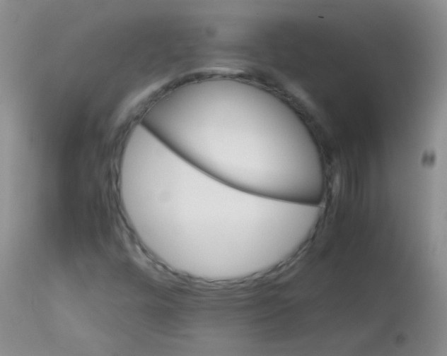 X0000113211448200910221052