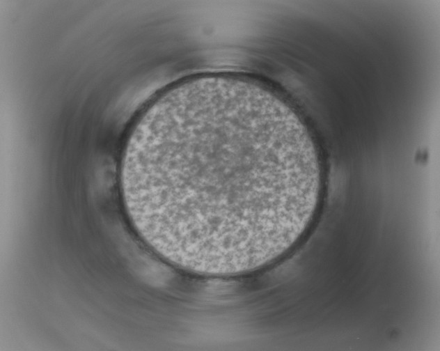 X0000113211449200910221052