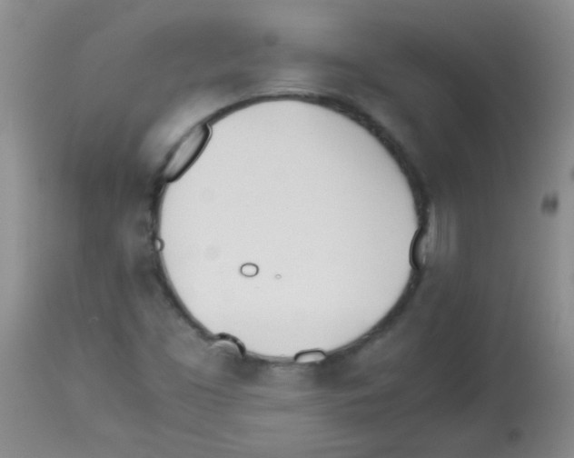 X0000113211453200910221052