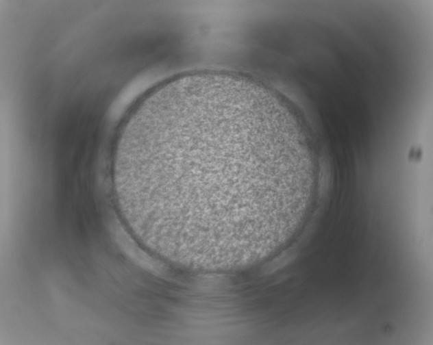 X0000113211454200910221052